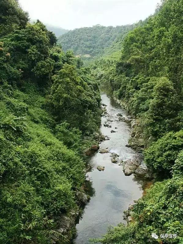 剑刃风暴
